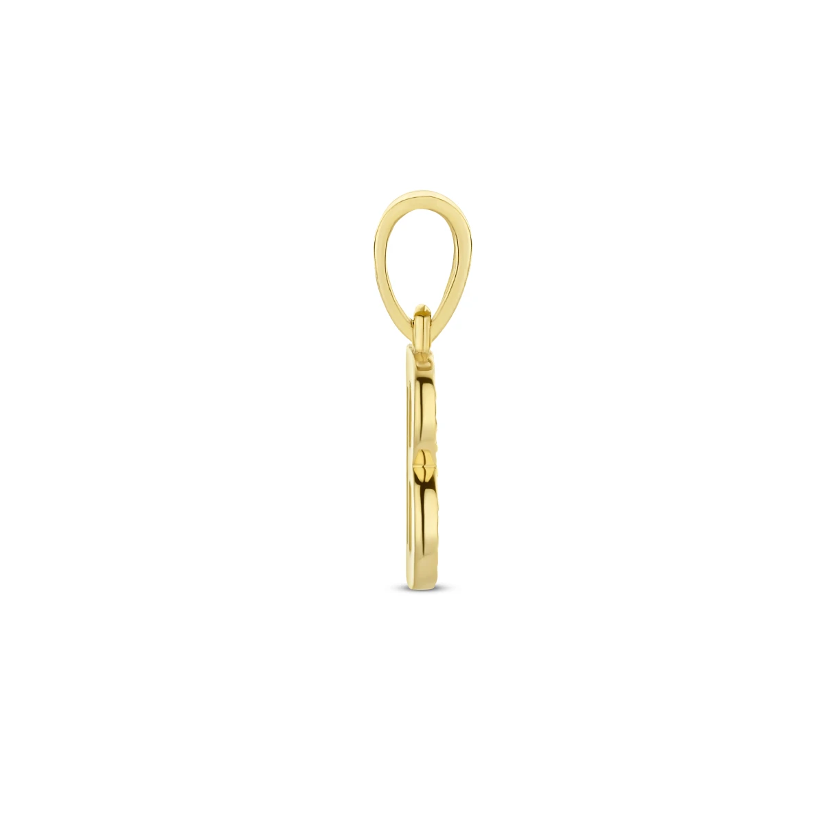 hanger letter zirkonia 14K geelgoud