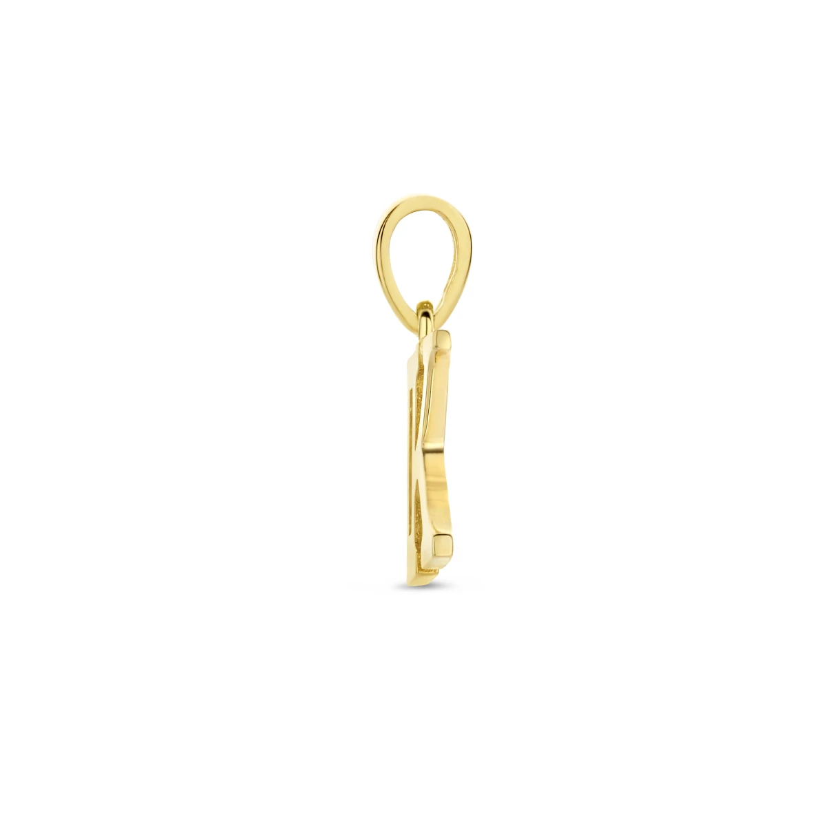 hanger letter zirkonia 14K geelgoud