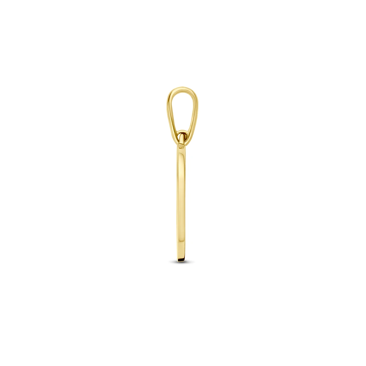 hanger met geboortebloem 14K geelgoud