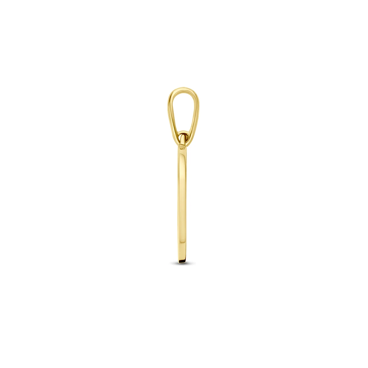 hanger met geboortebloem 14K geelgoud