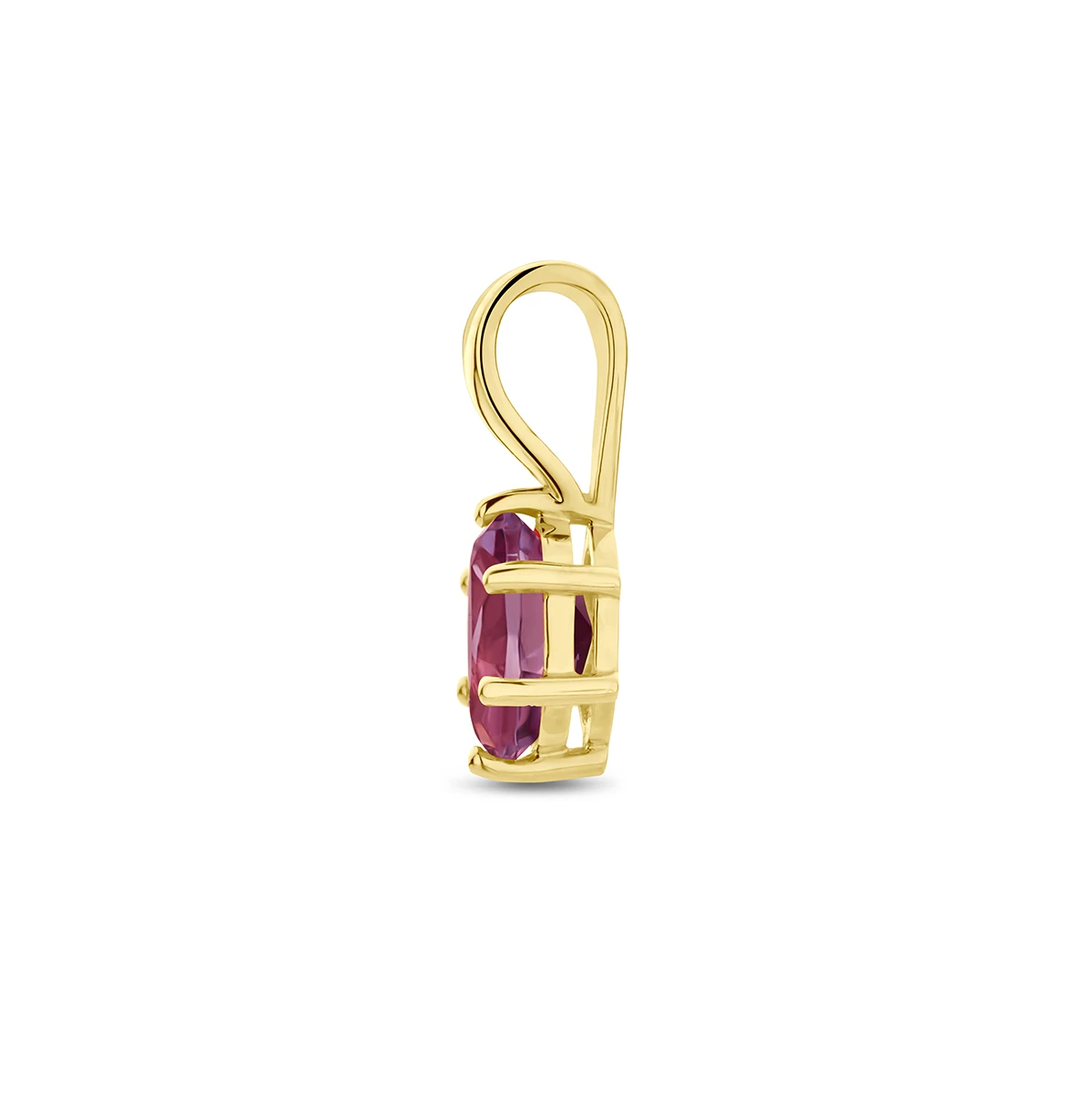 hanger met geboortesteen 14K geelgoud