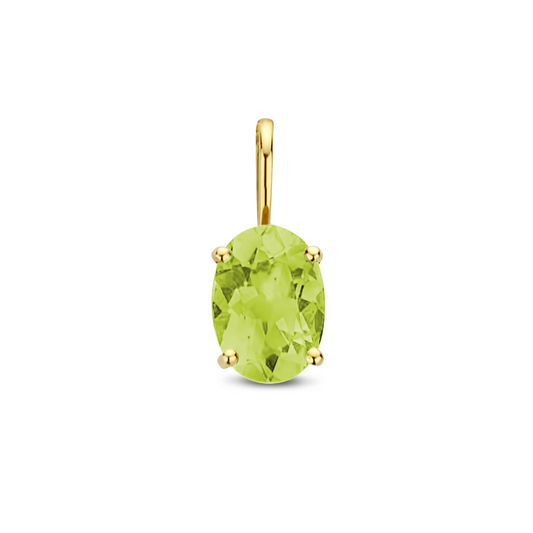 hanger met geboortesteen 14K geelgoud