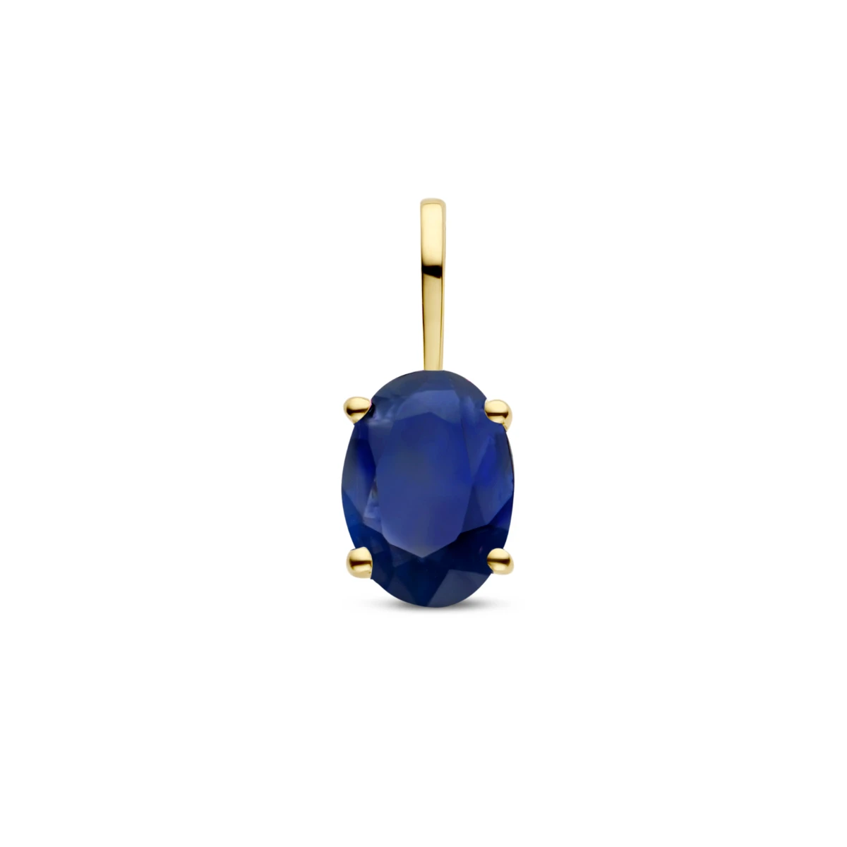 hanger met geboortesteen 14K geelgoud
