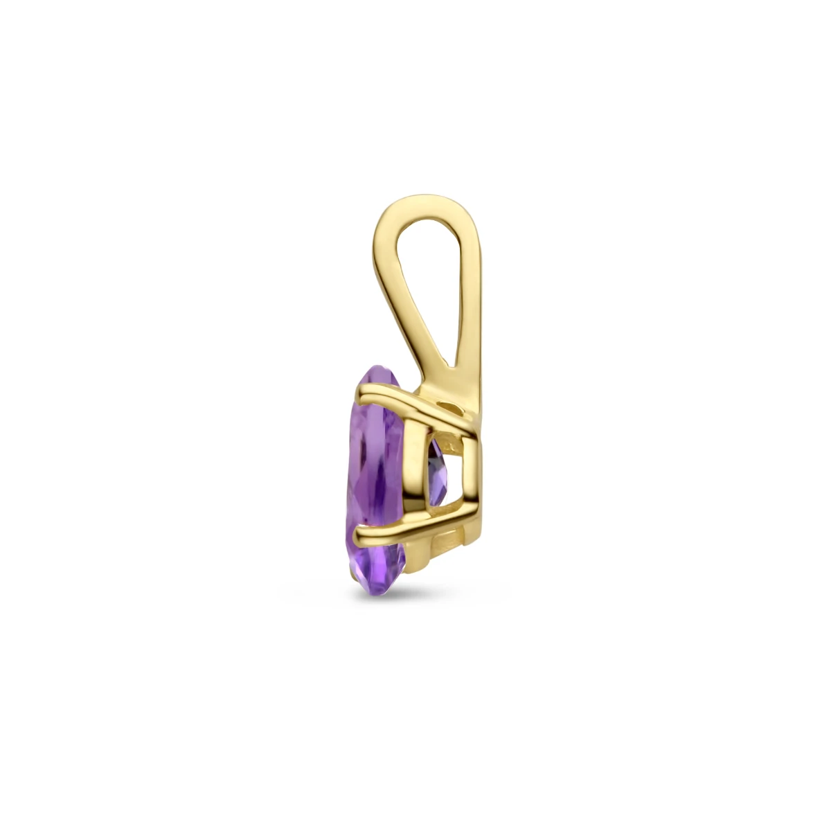 hanger met geboortesteen 14K geelgoud