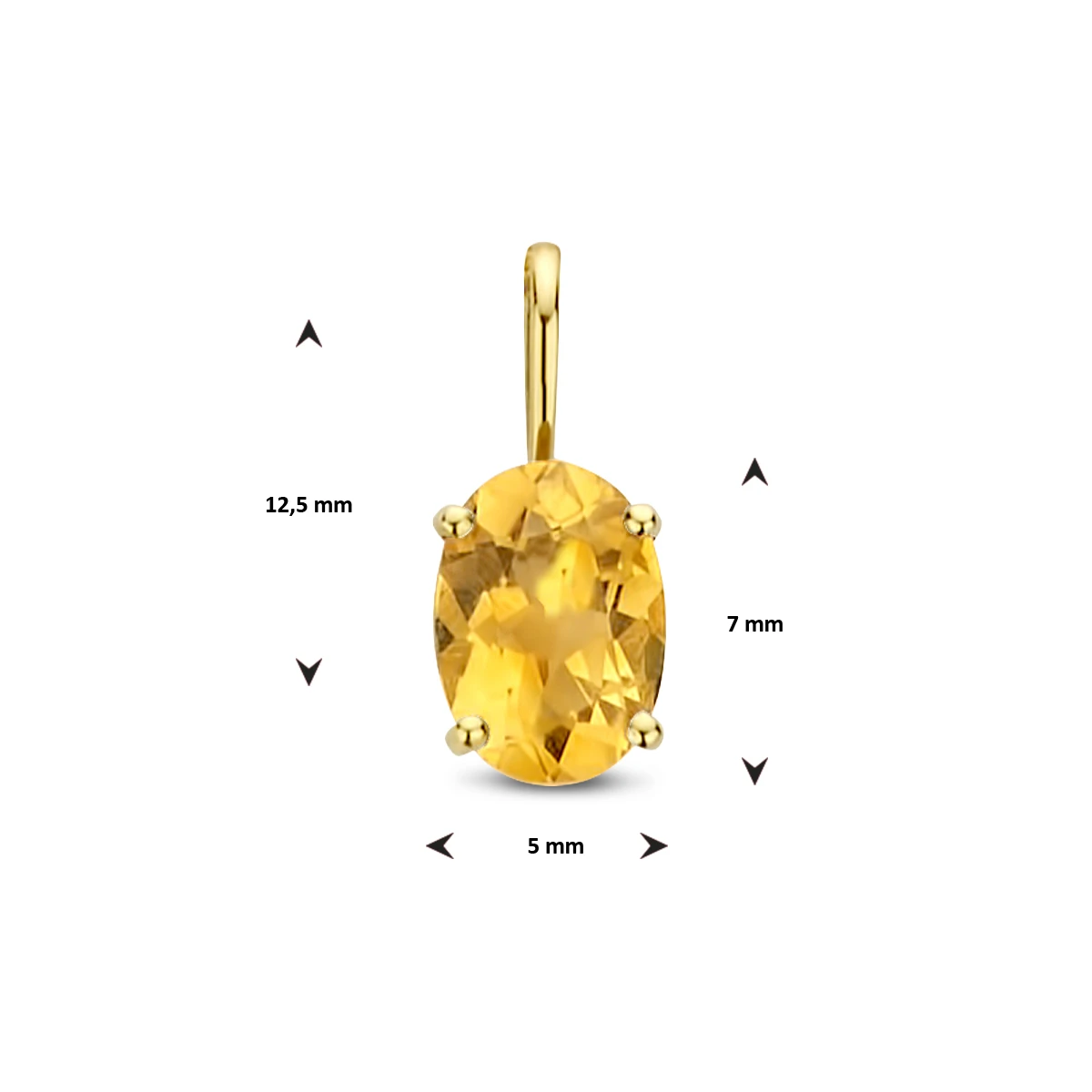 hanger met geboortesteen 14K geelgoud