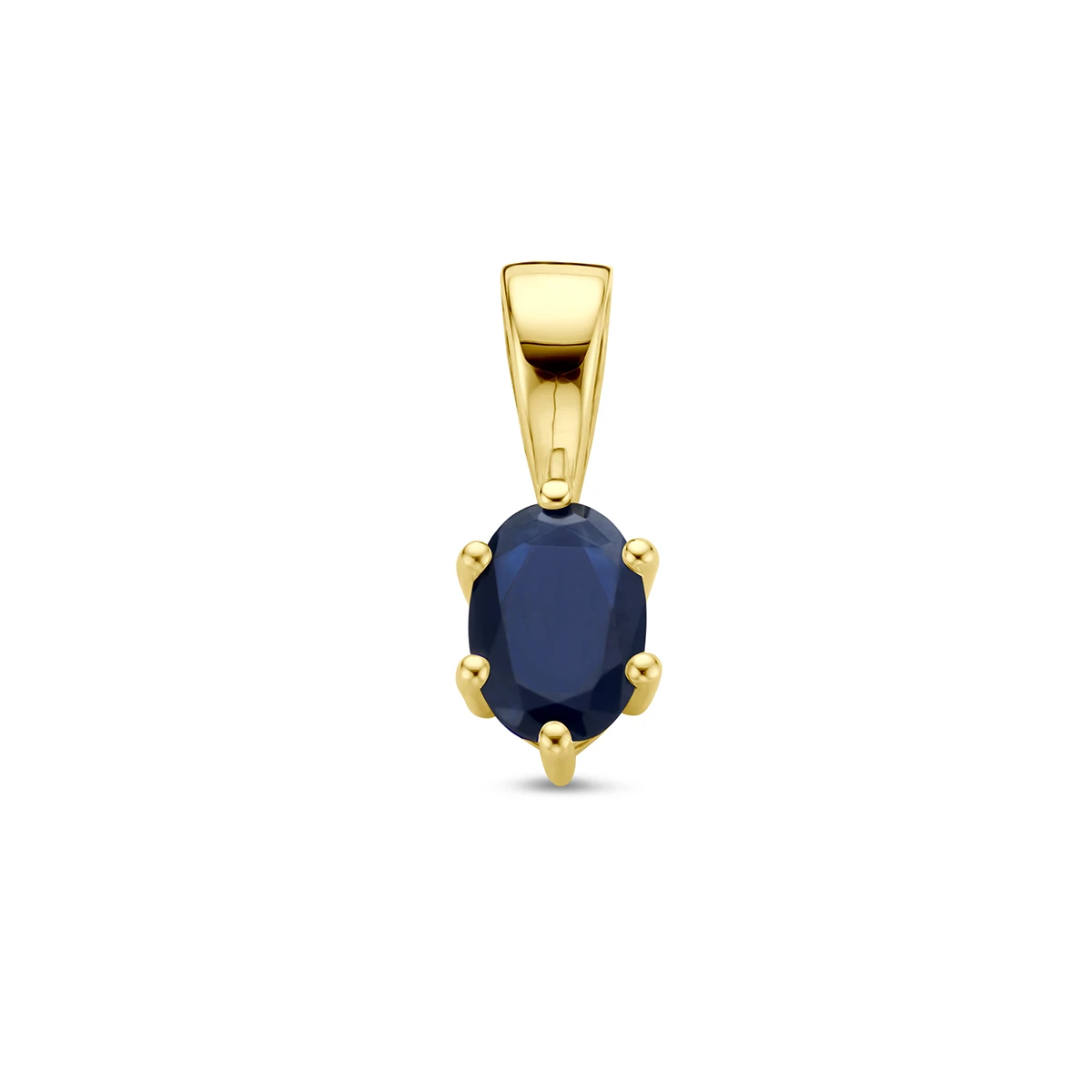 hanger met geboortesteen 14K geelgoud