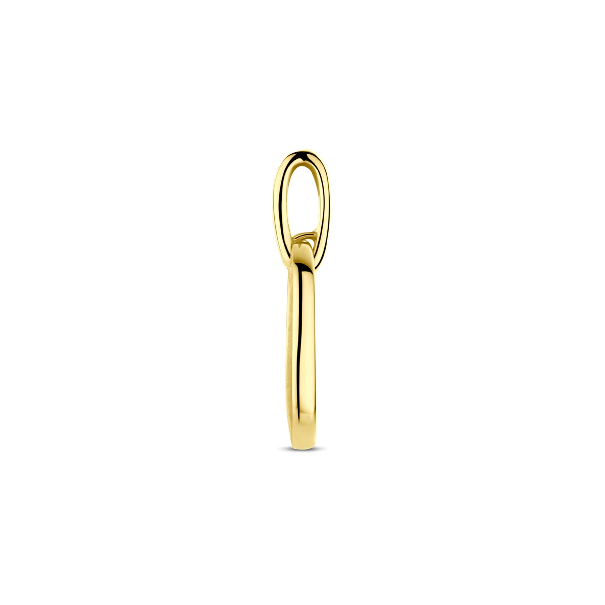 hanger poli/mat diamant 0.03ct h si 20 mm 14K geelgoud