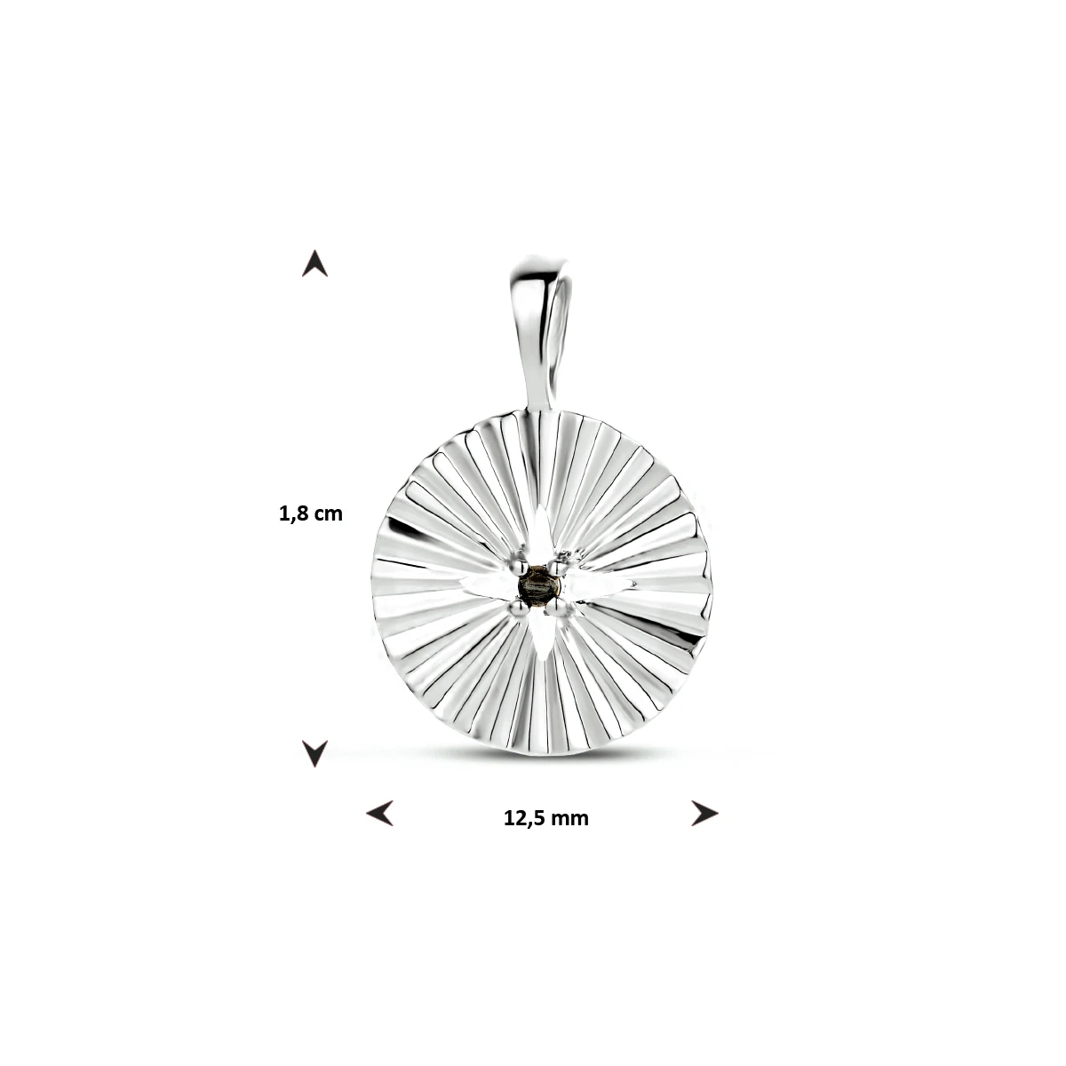hanger rond zwart zirkonia zilver gerhodineerd
