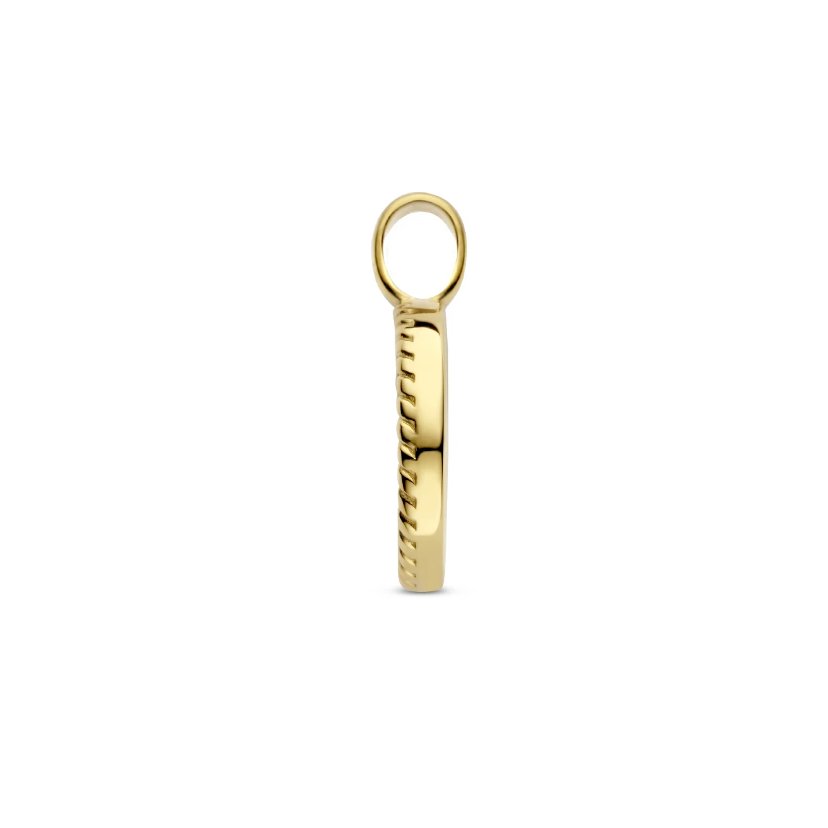 hanger rondje onyx ion plating edelstaal