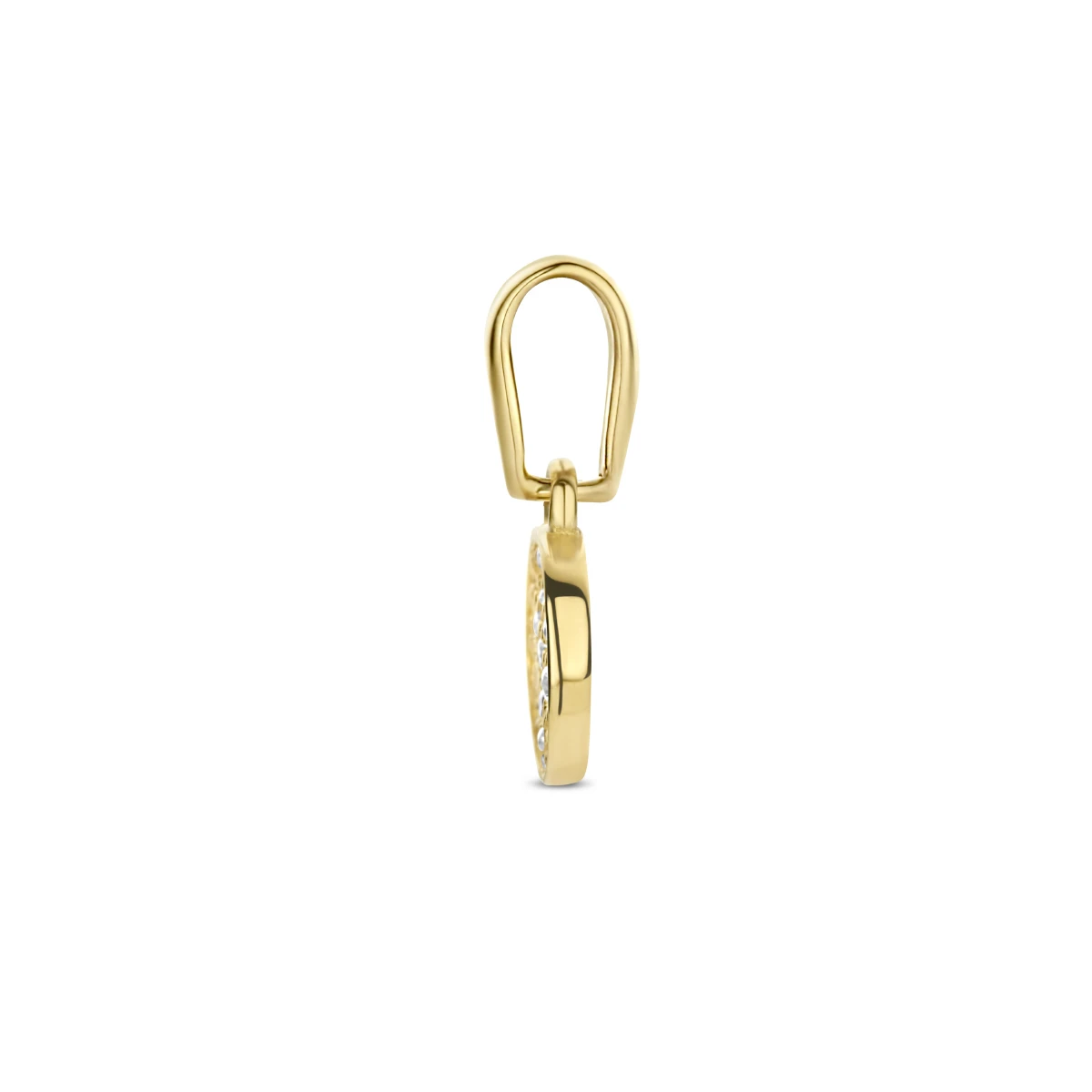 hanger rondje zirkonia 14K geelgoud
