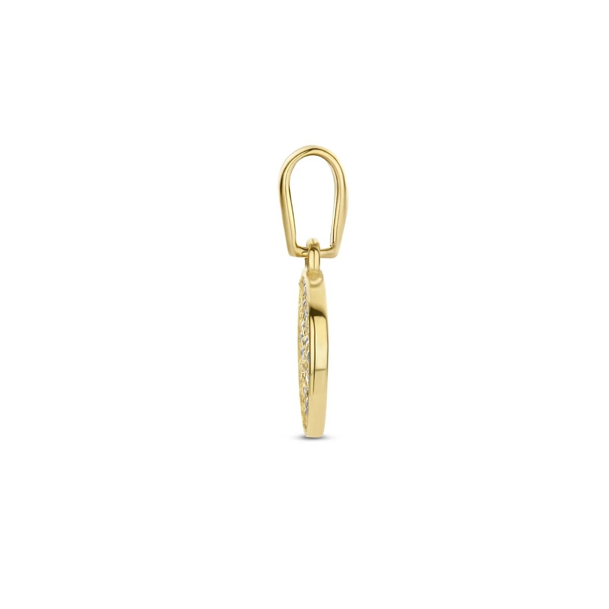 hanger rondje zirkonia 14K geelgoud