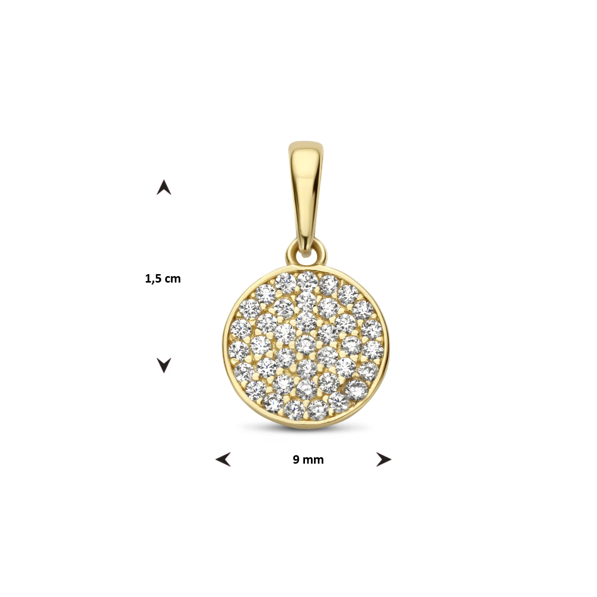 hanger rondje zirkonia 14K geelgoud