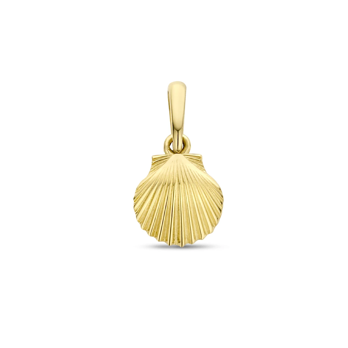 hanger schelp 12 mm 14K geelgoud