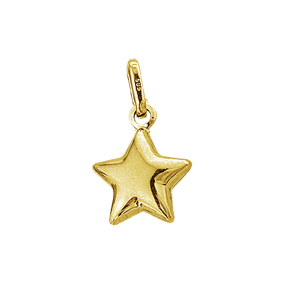 hanger ster 14K geelgoud