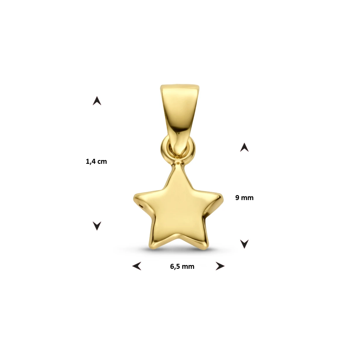 hanger ster 14K geelgoud
