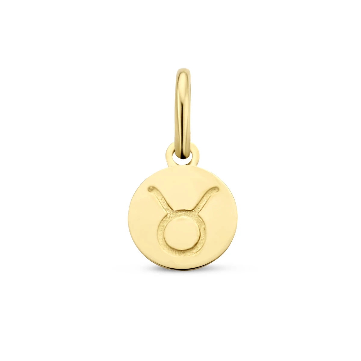 hanger sterrenbeeld 12 mm 14K geelgoud