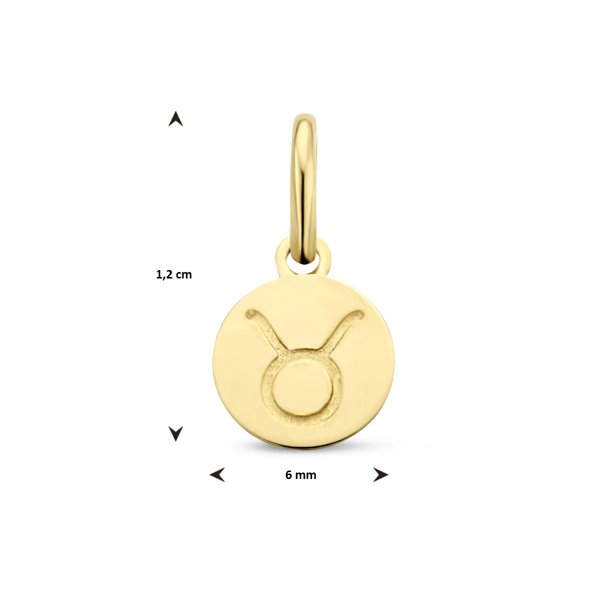 hanger sterrenbeeld 12 mm 14K geelgoud