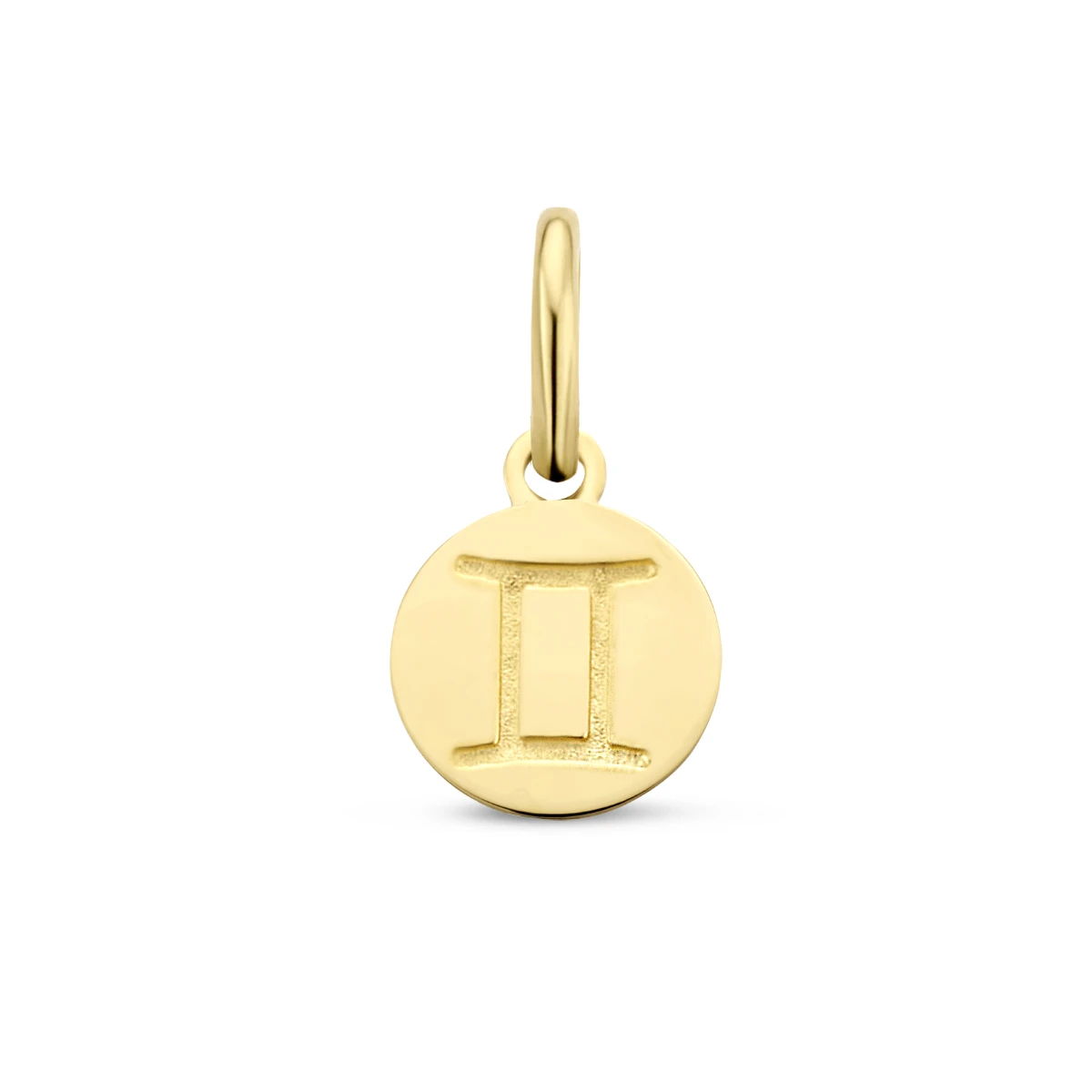 hanger sterrenbeeld 12 mm 14K geelgoud