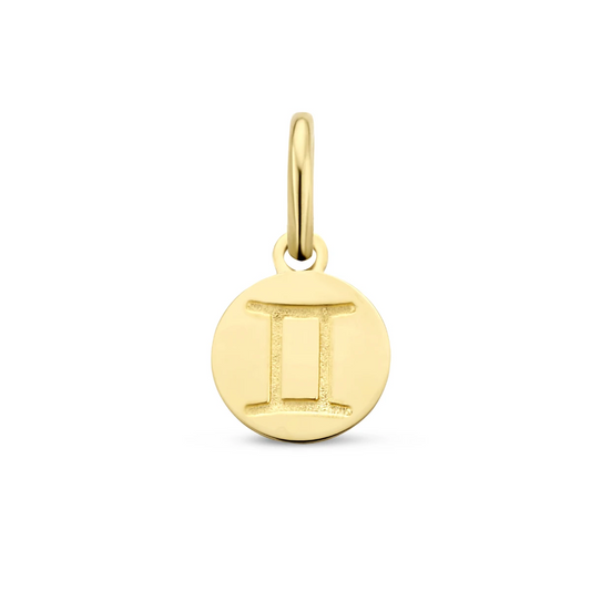 hanger sterrenbeeld 12 mm 14K geelgoud