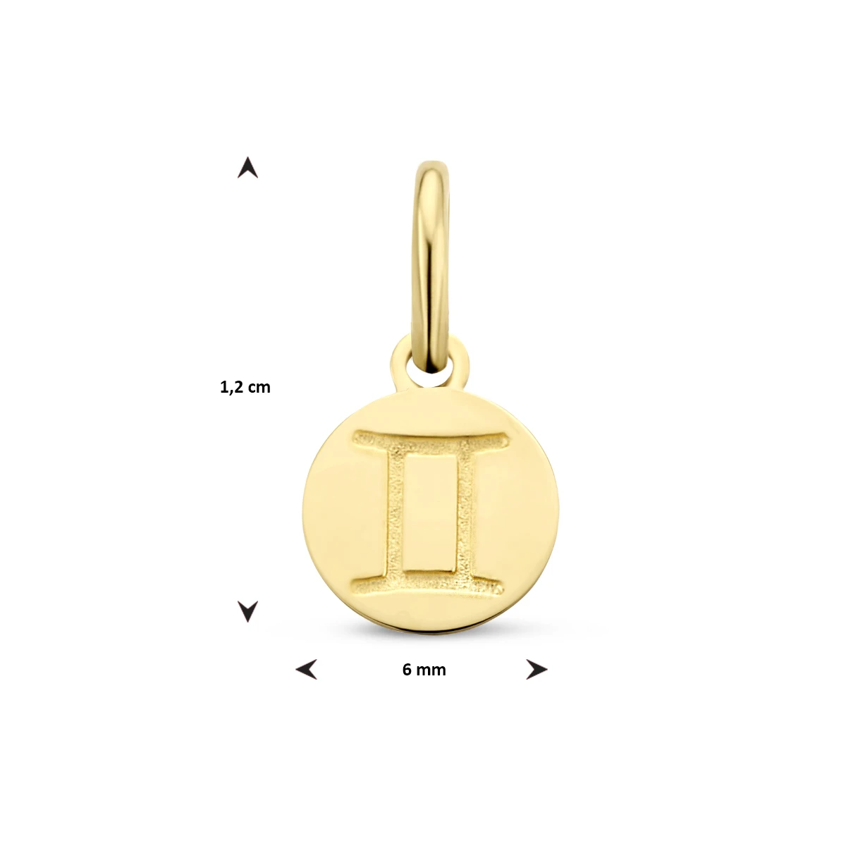 hanger sterrenbeeld 12 mm 14K geelgoud