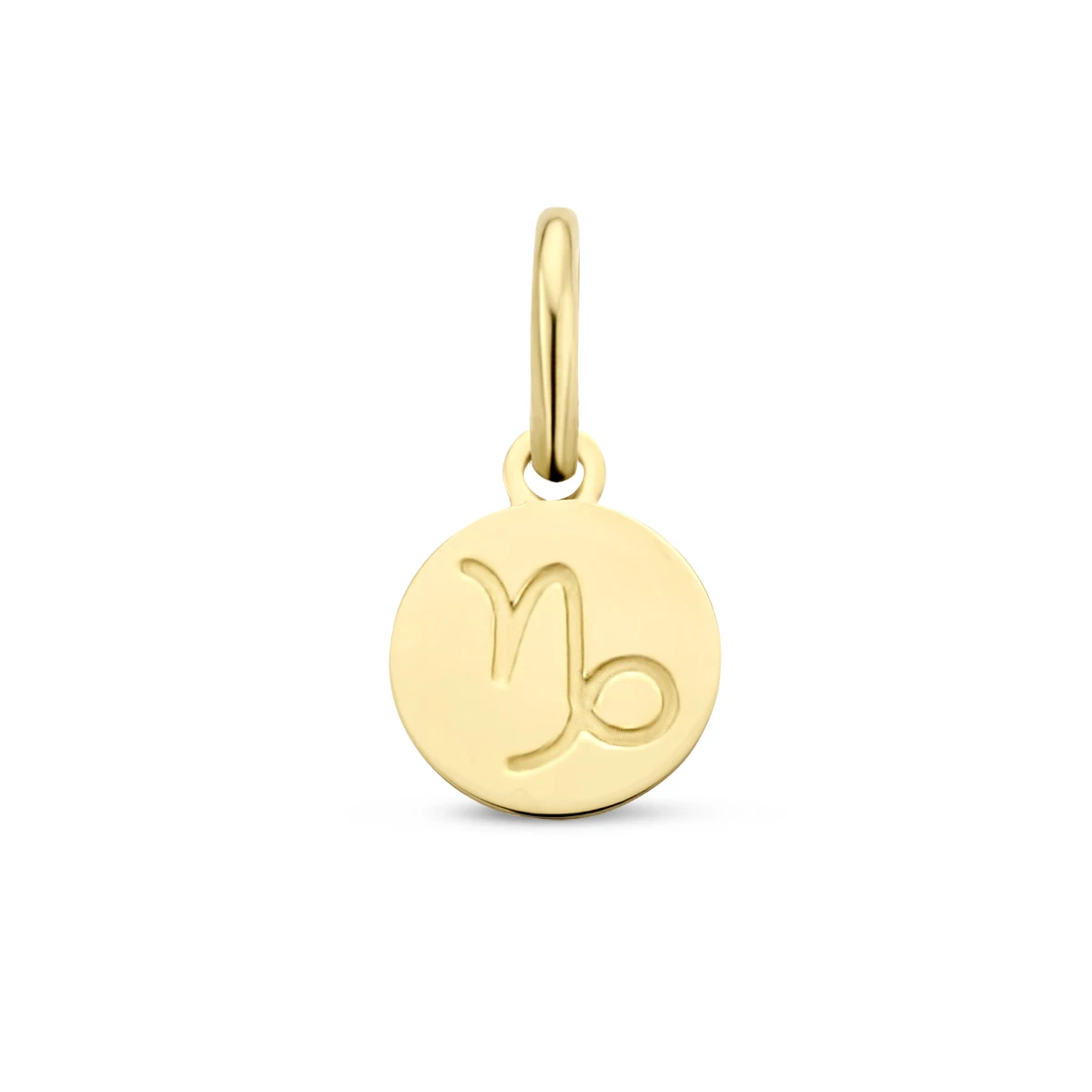 hanger sterrenbeeld 12 mm 14K geelgoud