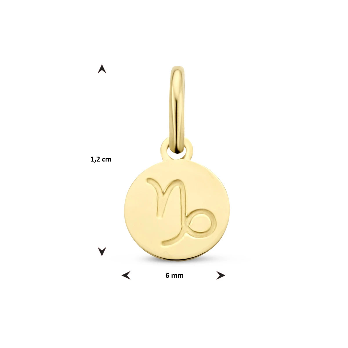 hanger sterrenbeeld 12 mm 14K geelgoud
