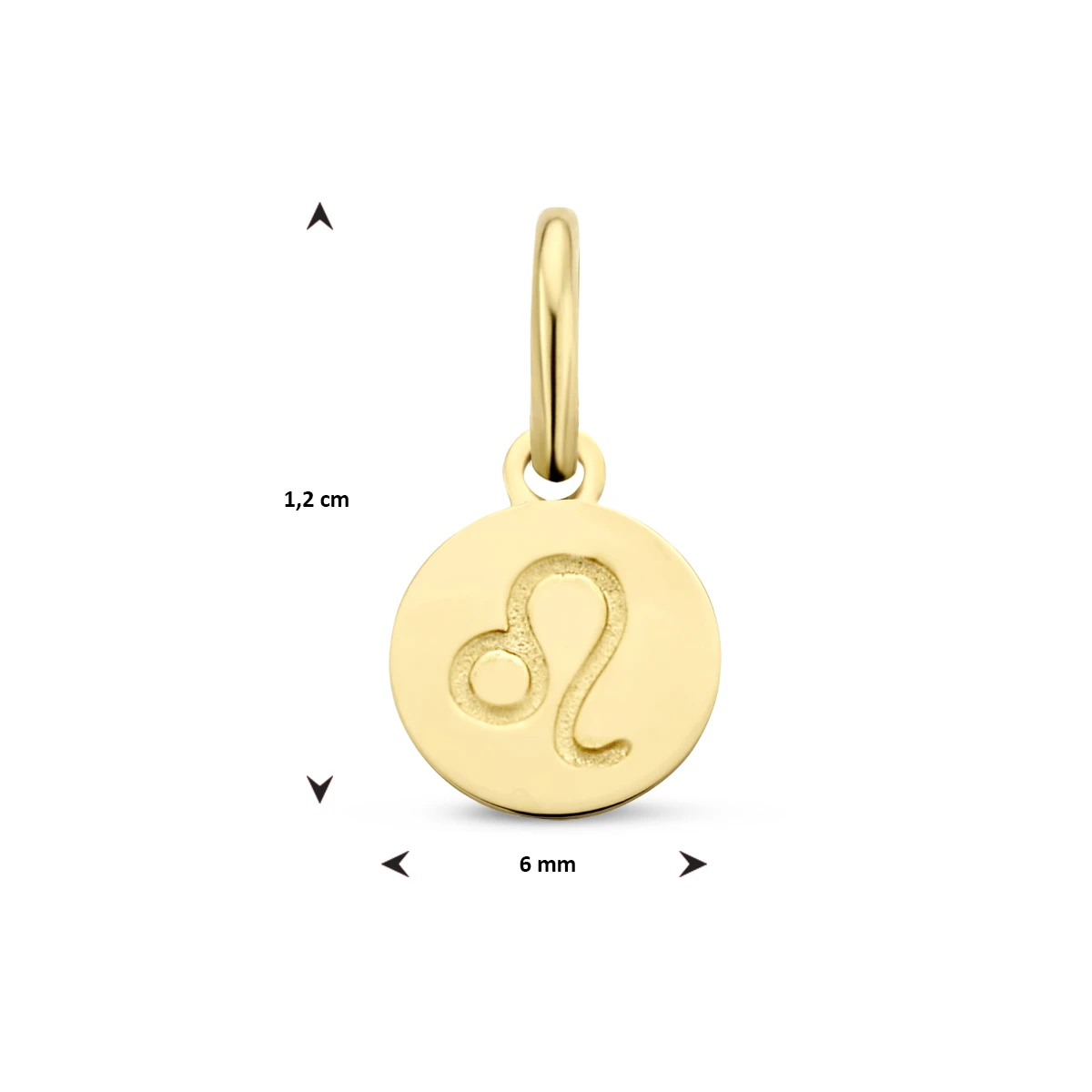 hanger sterrenbeeld 12 mm 14K geelgoud