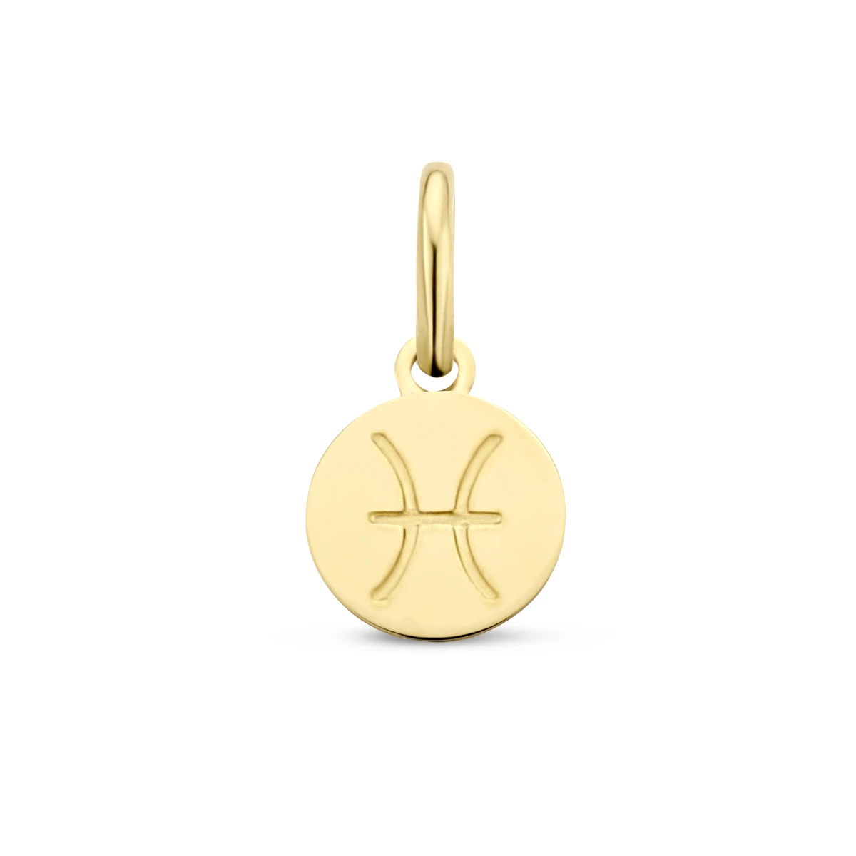 hanger sterrenbeeld 12 mm 14K geelgoud