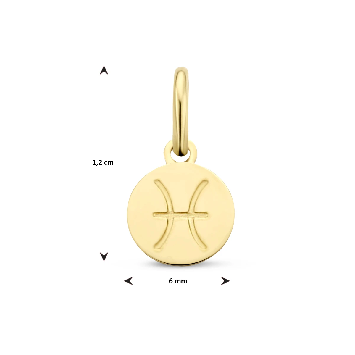 hanger sterrenbeeld 12 mm 14K geelgoud