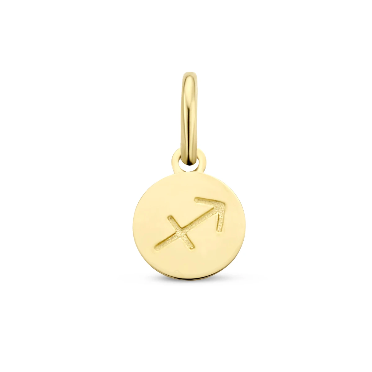 hanger sterrenbeeld 12 mm 14K geelgoud