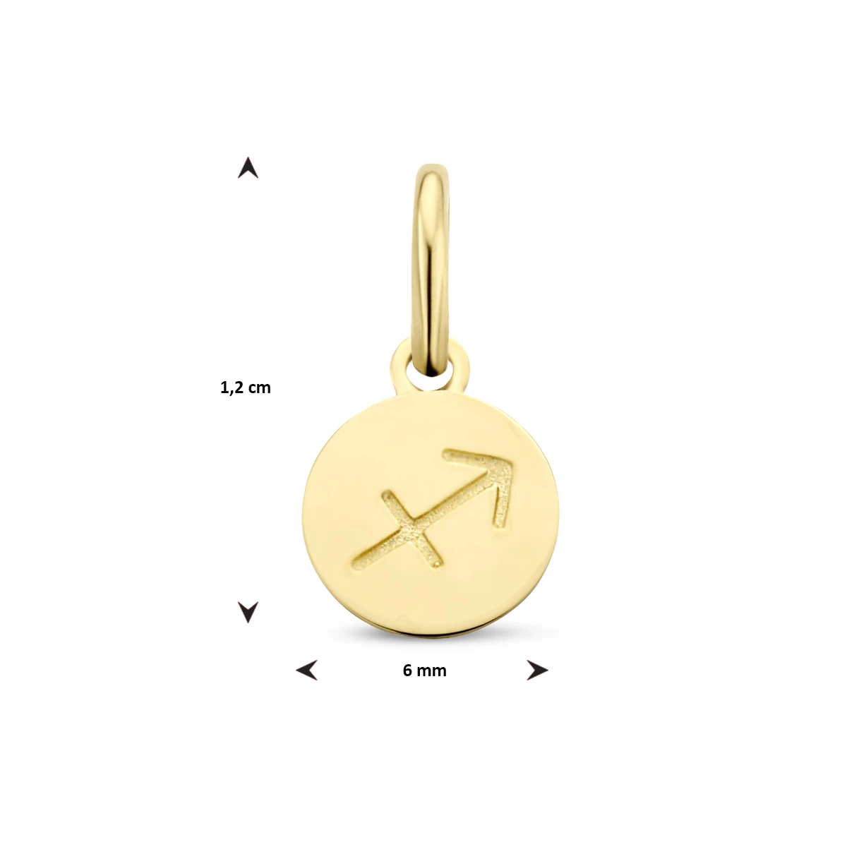 hanger sterrenbeeld 12 mm 14K geelgoud