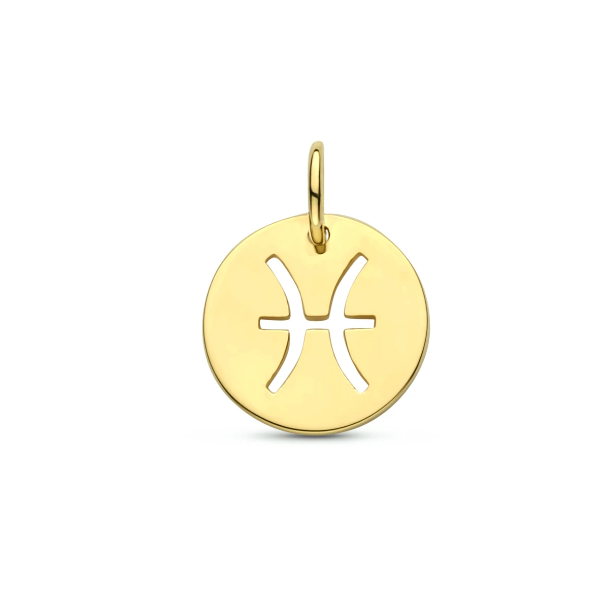 hanger sterrenbeeld 13 mm 14K geelgoud