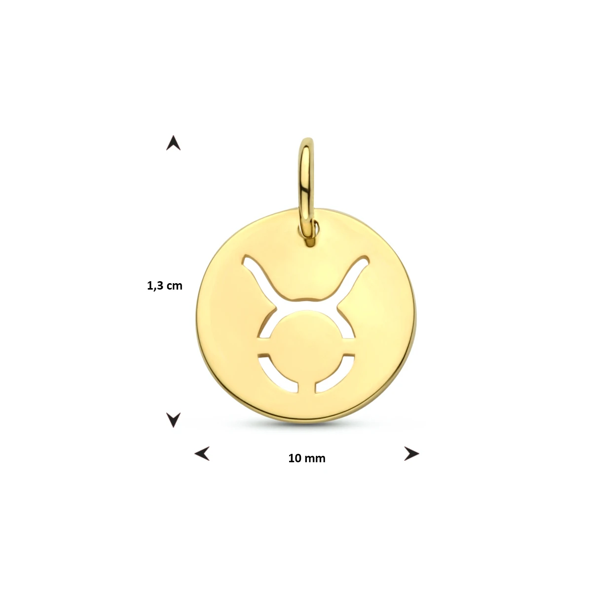 hanger sterrenbeeld 13 mm 14K geelgoud