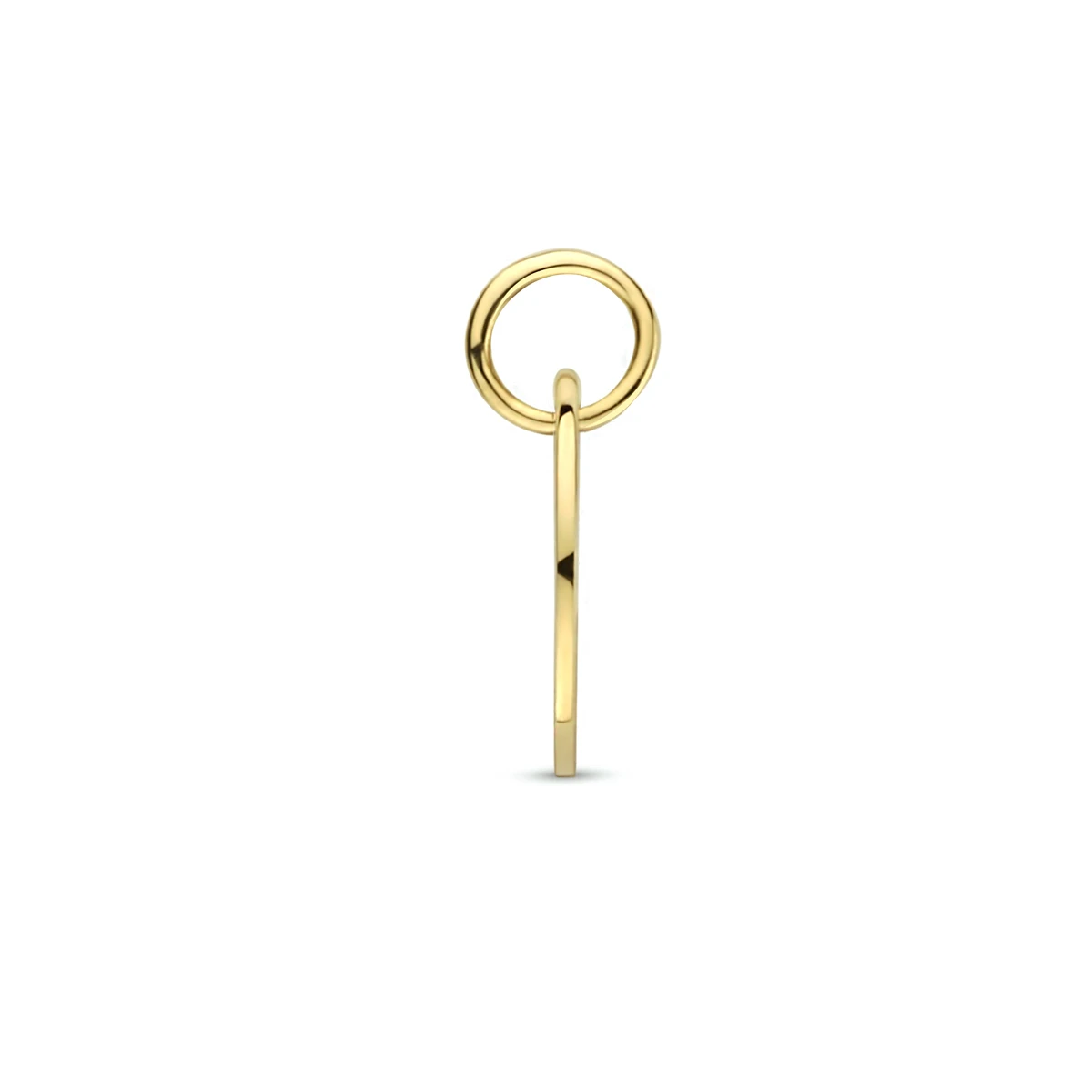hanger sterrenbeeld 13 mm 14K geelgoud