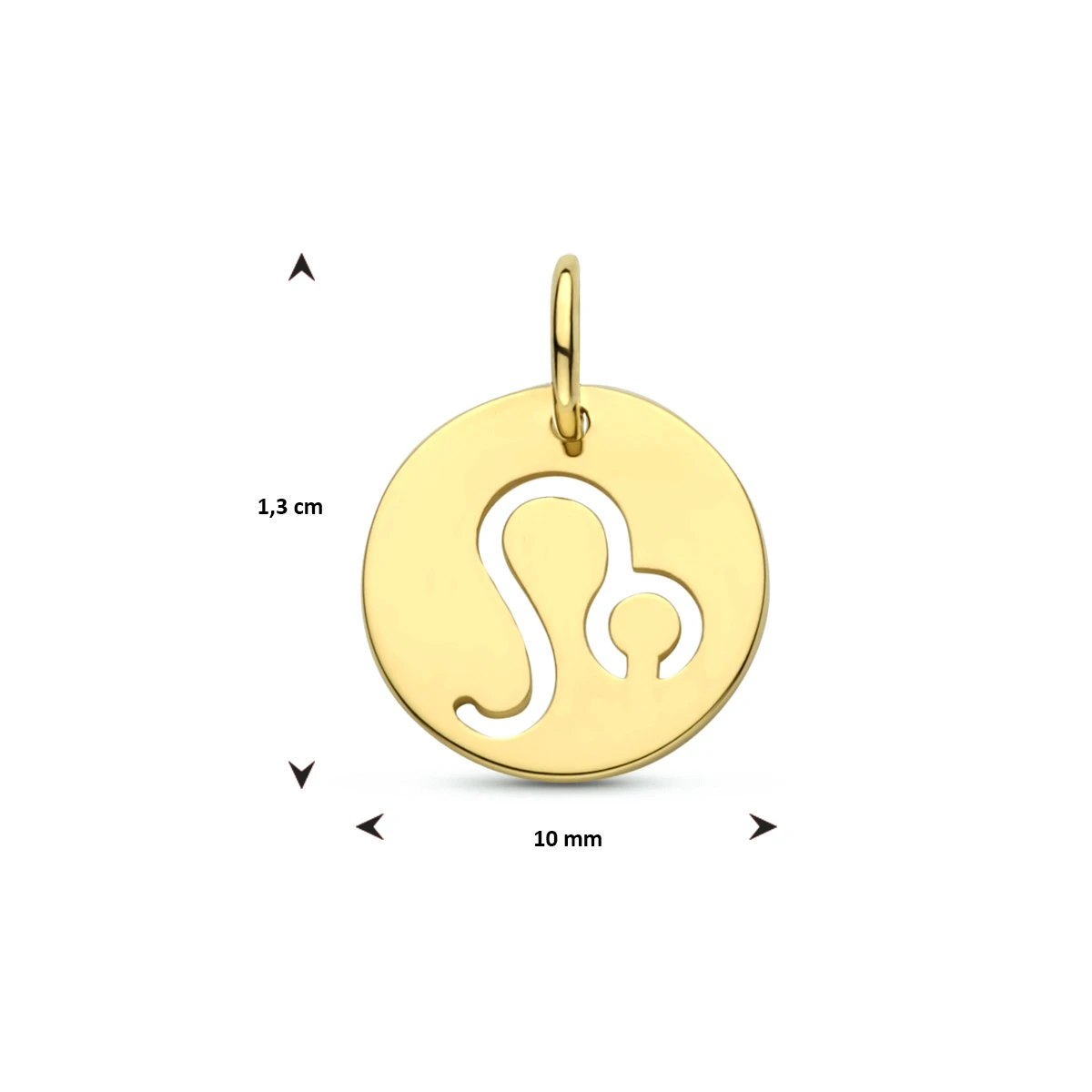 hanger sterrenbeeld 13 mm 14K geelgoud