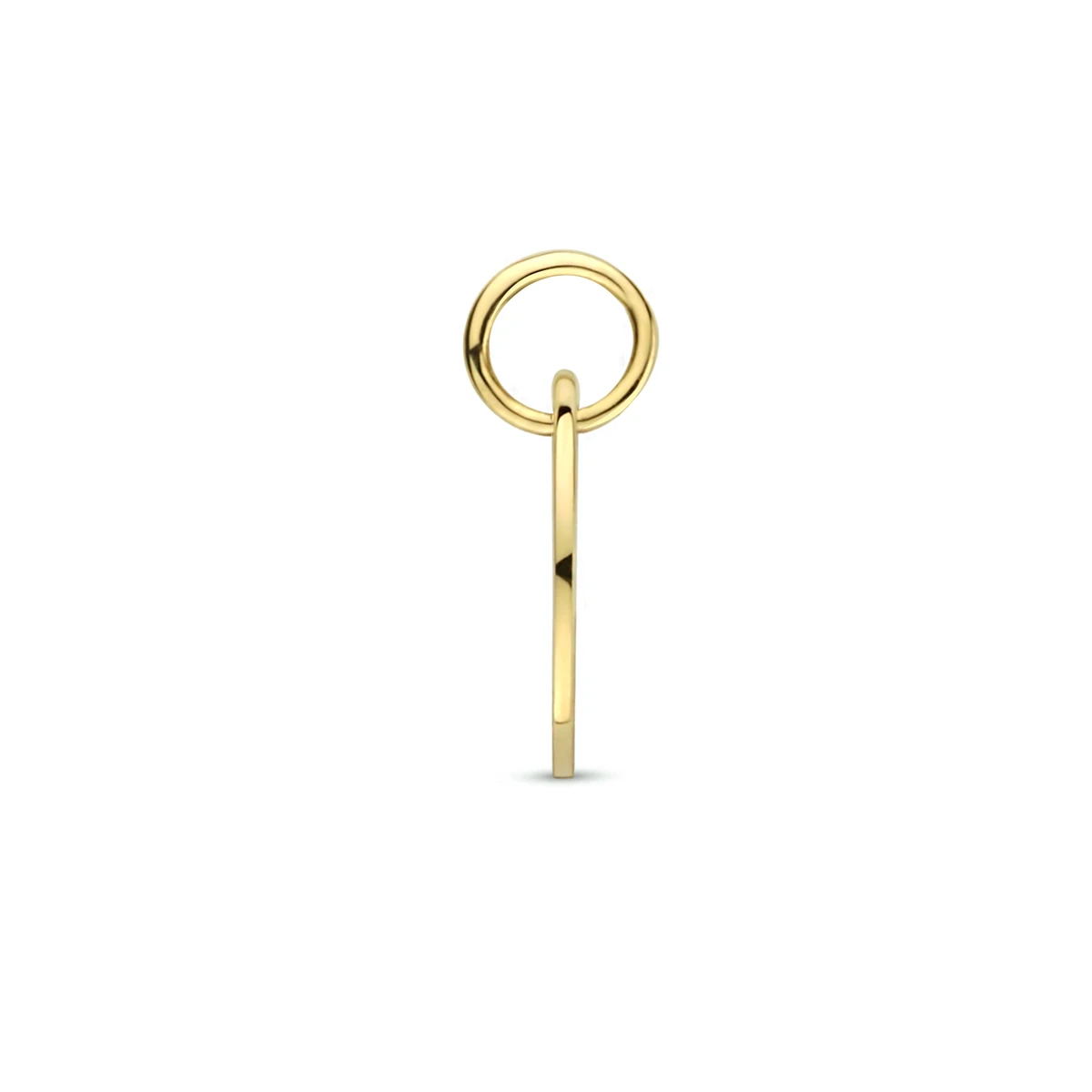 hanger sterrenbeeld 13 mm 14K geelgoud