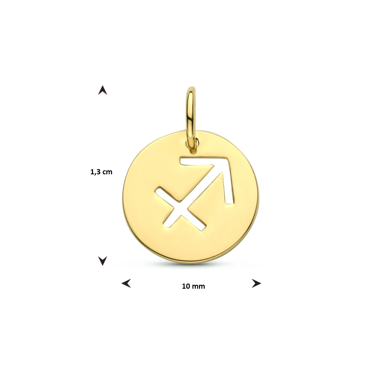 hanger sterrenbeeld 13 mm 14K geelgoud