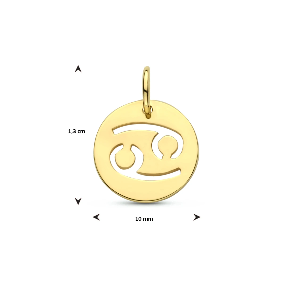 hanger sterrenbeeld 13 mm 14K geelgoud