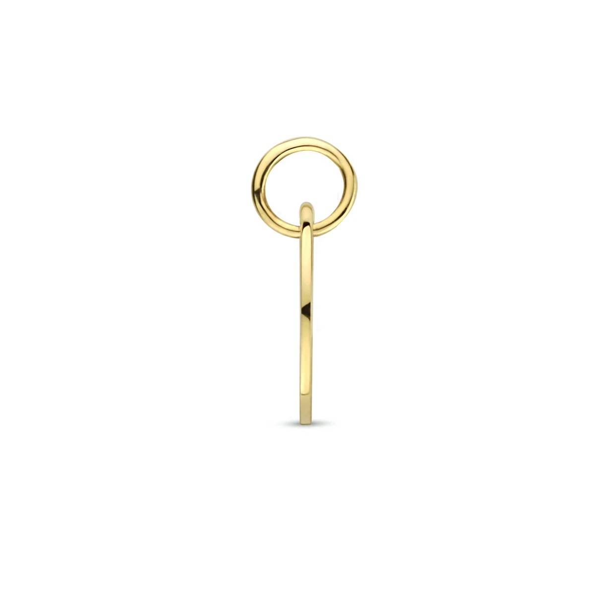 hanger sterrenbeeld 13 mm 14K geelgoud