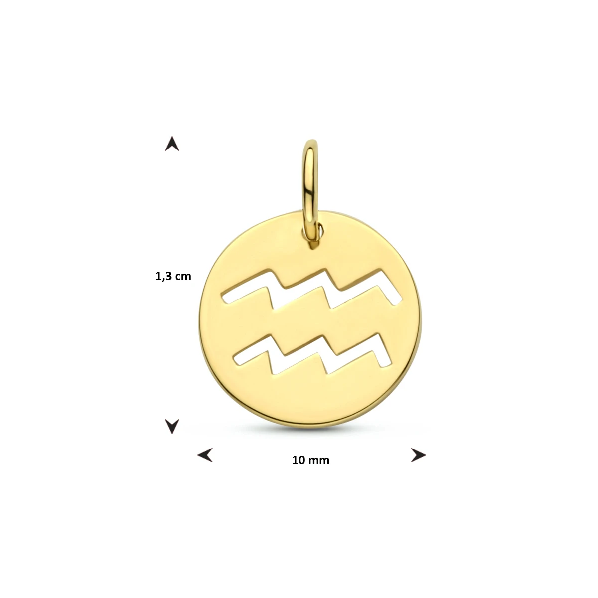 hanger sterrenbeeld 13 mm 14K geelgoud
