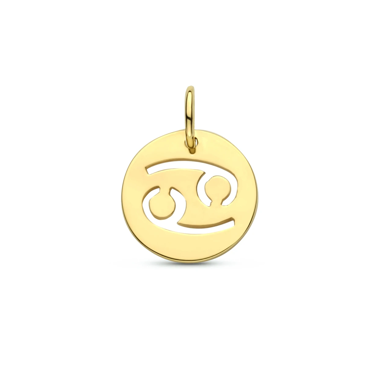 hanger sterrenbeeld 13 mm 14K geelgoud