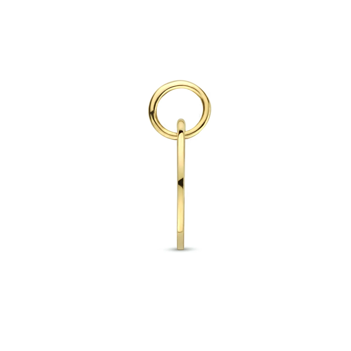 hanger sterrenbeeld 13 mm 14K geelgoud