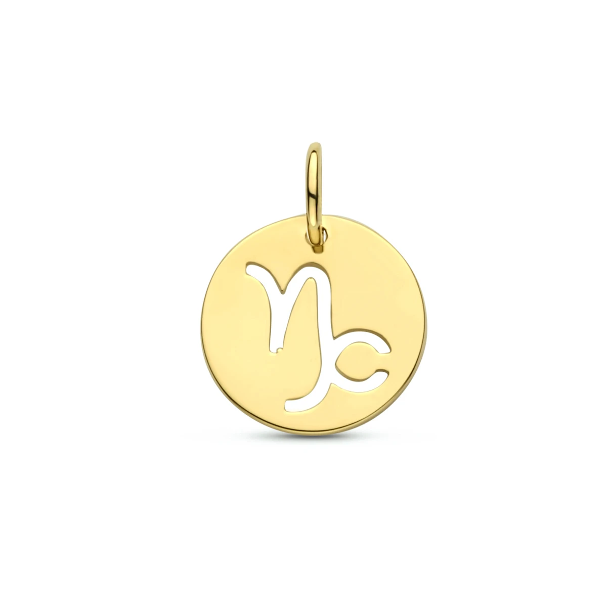 hanger sterrenbeeld 13 mm 14K geelgoud