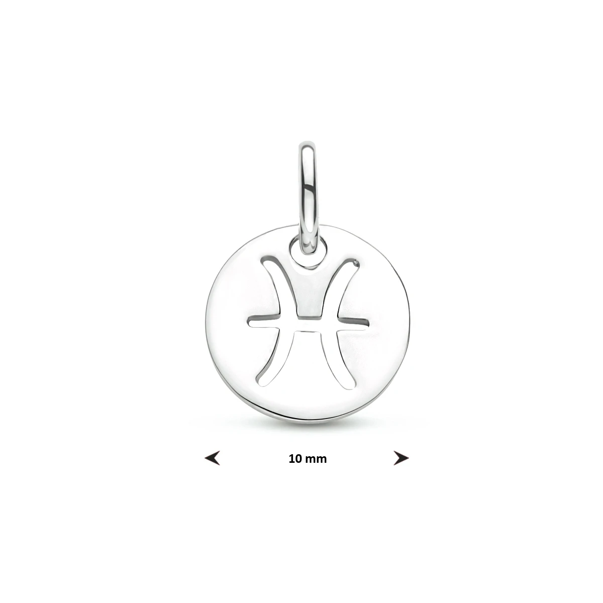 hanger sterrenbeeld 13 mm zilver gerhodineerd