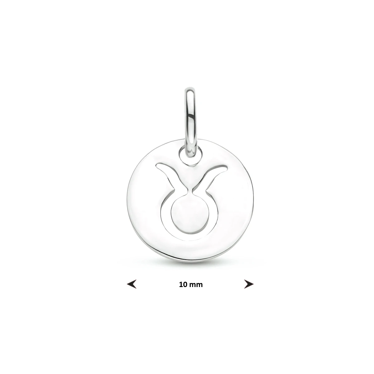 hanger sterrenbeeld 13 mm zilver gerhodineerd