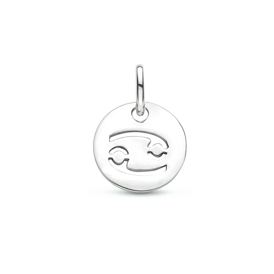 hanger sterrenbeeld 13 mm zilver gerhodineerd