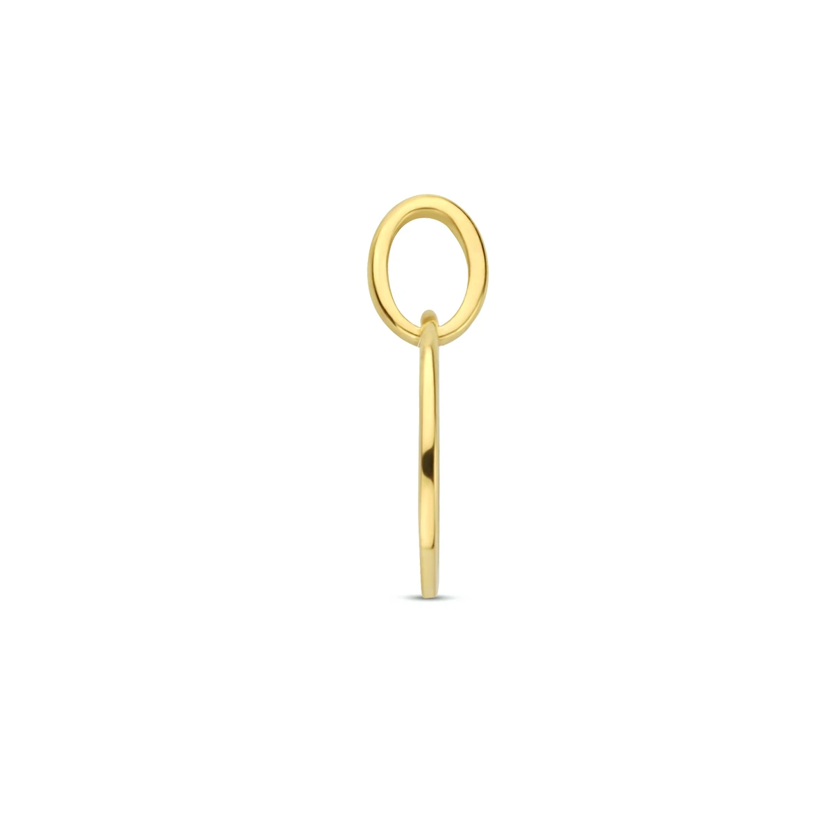 hanger sterrenbeeld 13 mm zilver verguld (geel)