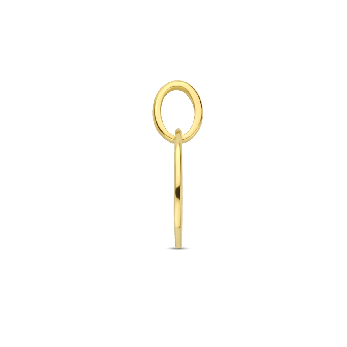 hanger sterrenbeeld 13 mm zilver verguld (geel)