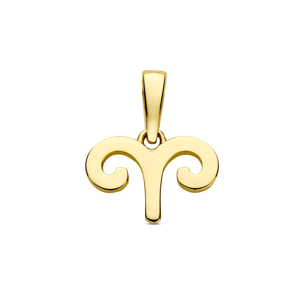 hanger sterrenbeeld 14K geelgoud