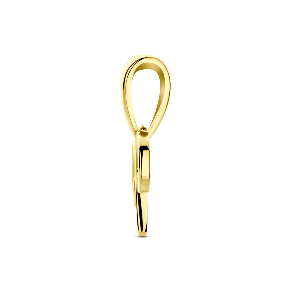 hanger sterrenbeeld 14K geelgoud